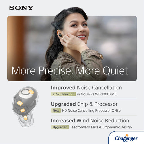 Sony WF-1000XM6/SCE TWS Earphones (Silver)