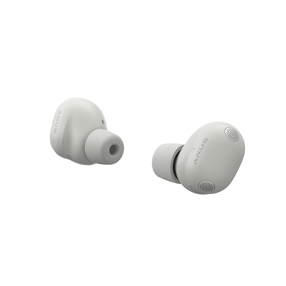 Sony WF-1000XM6/SCE TWS Earphones (Silver)