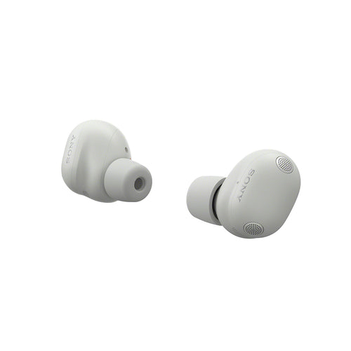 Sony WF-1000XM6/SCE TWS Earphones (Silver)