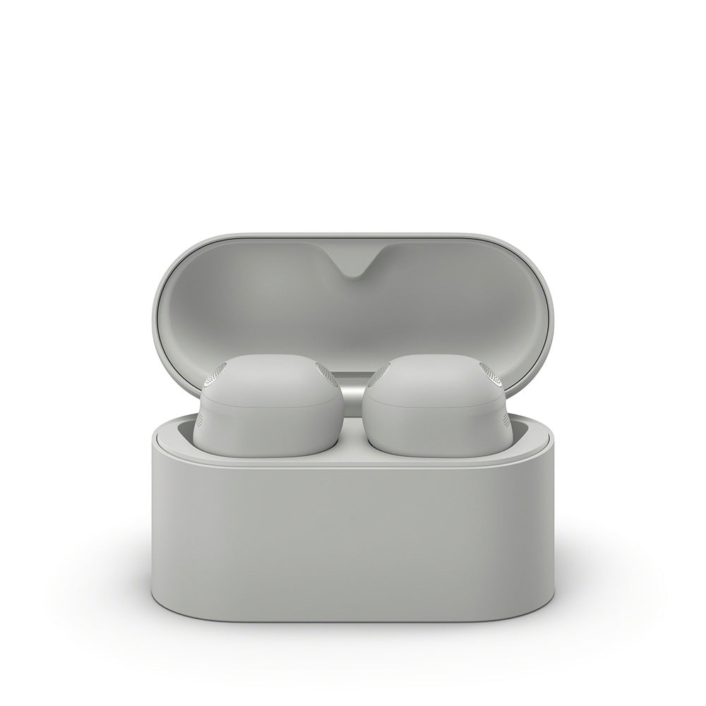 Sony WF-1000XM6/SCE TWS Earphones (Silver)