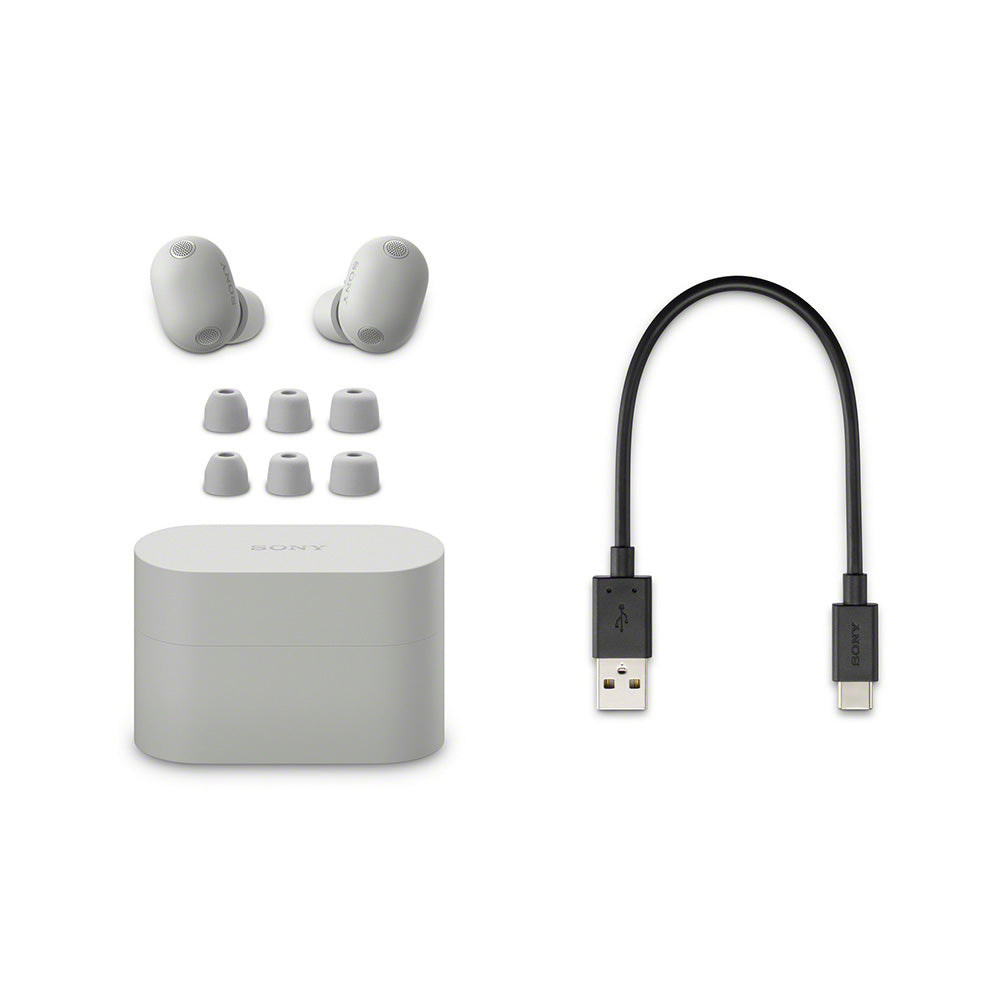 Sony WF-1000XM6/SCE TWS Earphones (Silver)